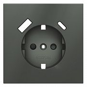 Накладка для розетки с заземлением и защитными шторками, с USB A+C, S70 (титан)