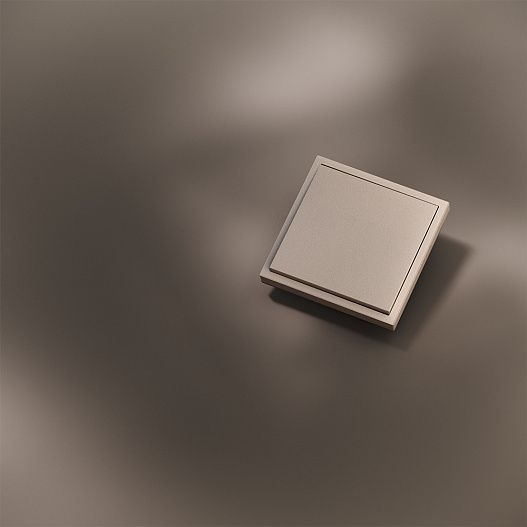 Клавиша для выключателя/переключателя одноклавишного, S70 Metal (платина)