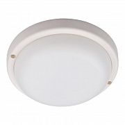 Светильник светодиодный "Банник" PBH-PC7-RA 12Вт 4000К IP65 ЖКХ ДБП white JazzWay 5045941